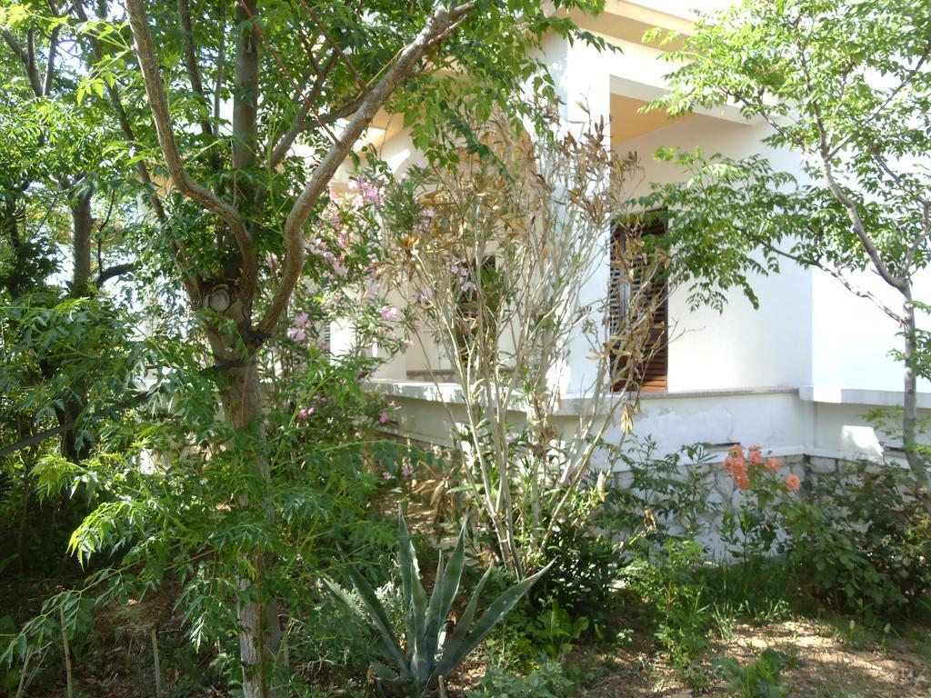 Apartments Kresimir Beauty With Shadow Trees And Parking Place Pag Town Quarto foto