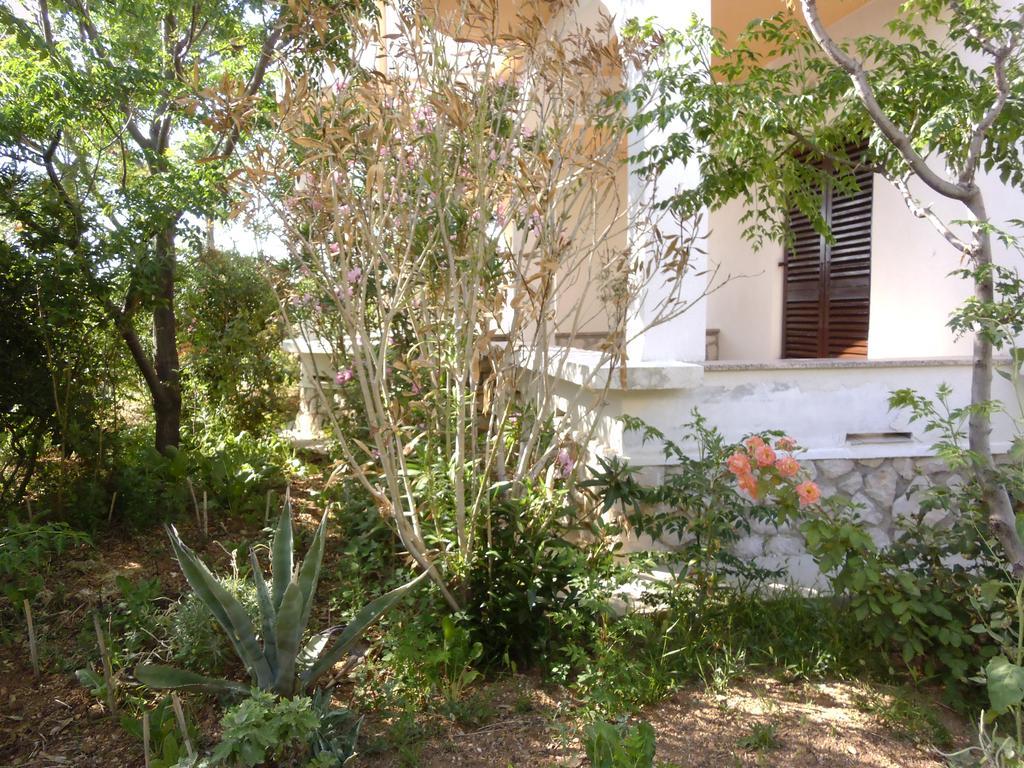 Apartments Kresimir Beauty With Shadow Trees And Parking Place Pag Town Quarto foto