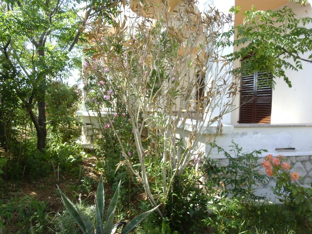 Apartments Kresimir Beauty With Shadow Trees And Parking Place Pag Town Quarto foto